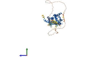 Protein Structure (PS) image for Cholinergic Receptor, Muscarinic 4 (CHRM4) (AA 1-479) protein (His tag) (ABIN7563130)