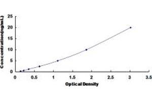 Typical standard curve (RRM1 ELISA Kit)