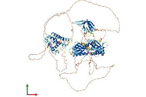 AlphaFold protein structure predicition of Human Recombinant PLEKHM2 Protein, UniprotID Q8IWE5