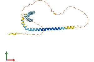 Protein Structure (PS) image for Receptor Accessory Protein 3 (REEP3) (AA 1-254) protein (His tag) (ABIN7560340)
