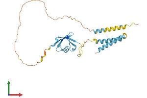 Protein Structure (PS) image for Transmembrane and Ubiquitin-Like Domain Containing 1 (TMUB1) (AA 1-246) protein (His tag) (ABIN7555776)