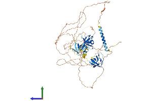 Protein Structure (PS) image for Sorbin and SH3 Domain Containing 3 (Sorbs3) (AA 1-671) protein (His tag) (ABIN7545120)