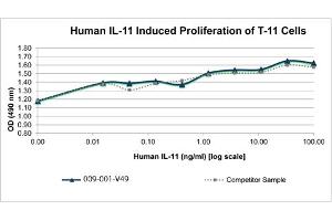 SDS-PAGE of Human Interleukin-11 Recombinant Protein Bioactivity of Human Interleukin-11 Recombinant Protein. (IL-11 Protein)