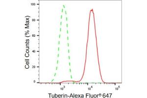 Flow cytometric analysis of Tuberin expression in HeLa cells using Tuberin antibody (ABIN7800658), 1:2,000). (Rekombinanter Tuberin Antikörper)