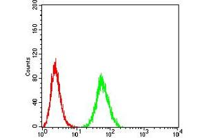 Flow Cytometry (FACS) image for anti-Eukaryotic Translation Initiation Factor 5 (EIF5) (AA 1-300) antibody (ABIN5865324) (EIF5 Antikörper  (AA 1-300))