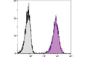 DBA/2 mouse mastocytoma cell line P815 and mB7. (CD80 Antikörper  (APC))