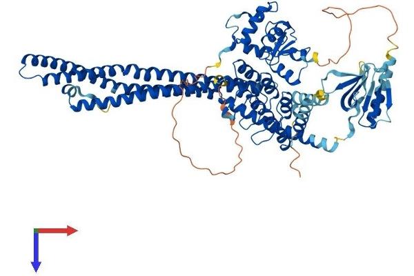 ACAP1 Protein (AA 1-740) (His tag)