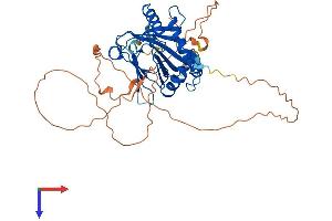 PHD1 Protein (AA 1-419) (His tag)