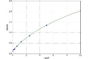 Complement Component (3b/4b) Receptor 1-Like (CR1L) ELISA Kit