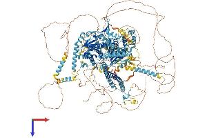 ERCC6 Protein (AA 1-1493) (His tag)