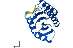 AlphaFold protein structure predicition of Human Recombinant TRAPPC2 Protein, UniprotID P0DI81