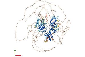 Protein Structure (PS) image for Regulator of G-Protein Signaling 3 (RGS3) (AA 1-1198) protein (His tag) (ABIN7555182)