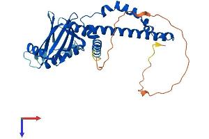 NHEJ1 Protein (AA 1-299) (His tag)