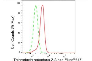 Flow cytometric analysis of Thioredoxin reductase 2 expression in HeLa cells using Thioredoxin reductase 2 antibody (ABIN7800545), 1:2,000). (Rekombinanter TXNRD2 Antikörper)