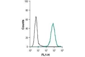 Cell surface detection of EphB1 in live intact human THP-1 monocytic leukemia cell line: (black line) Cells + goat anti-rabbit-AlexaFluor-488 secondary antibody. (EPH Receptor B1 Antikörper  (Extracellular, N-Term))