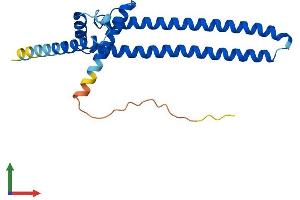 AlphaFold protein structure predicition of Human Recombinant DGCR6L Protein, UniprotID Q9BY27