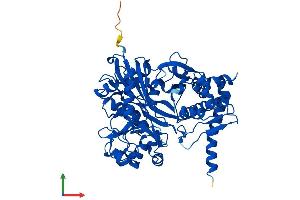 Protein Structure (PS) image for FGGY Carbohydrate Kinase Domain Containing (FGGY) (AA 1-551) protein (His tag) (ABIN7547607)