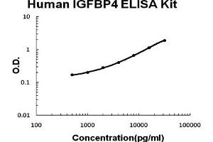 Human IGFBP4 Accusignal ELISA Kit Human IGFBP4 AccuSignal ELISA Kit standard curve. (IGFBP4 ELISA Kit)