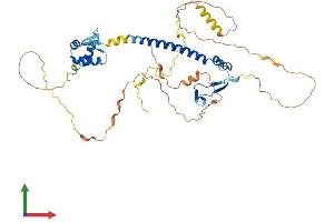 Protein Structure (PS) image for E2F Transcription Factor 1 (E2F1) (AA 1-437) protein (His tag) (ABIN7553735)