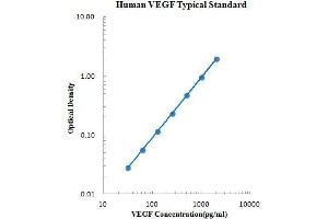 ELISA image for Vascular Endothelial Growth Factor (VEGF) ELISA Kit (ABIN2472089)