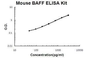 Mouse BAFF PicoKine ELISA Kit standard curve (BAFF ELISA Kit)