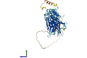 Protein Structure (PS) image for F-Box Protein 15 (FBXO15) (AA 1-510) protein (His tag) (ABIN7547694)