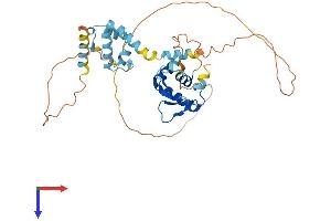 ELF3 Protein (AA 1-371) (His tag)