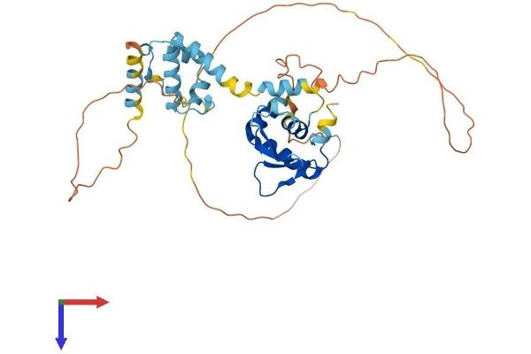 ELF3 Protein (AA 1-371) (His tag)