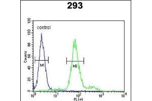 KLF16 Antibody (Center) (ABIN652801 and ABIN2842524) flow cytometric analysis of 293 cells (right histogram) compared to a negative control cell (left histogram). (KLF16 Antikörper  (AA 150-179))