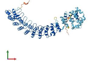 Protein Structure (PS) image for Ankyrin Repeat and SOCS Box-Containing 3 (ASB3) (AA 1-525) protein (His tag) (ABIN7556304)