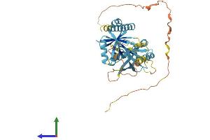 Protein Structure (PS) image for Prostate Tumor Overexpressed 1 (PTOV1) (AA 1-416) protein (His tag) (ABIN7551092)