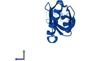 Protein Structure (PS) image for LSM2 Homolog, U6 Small Nuclear RNA Associated (LSM2) (AA 1-95) protein (His tag) (ABIN7562383)
