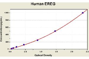 Diagramm of the ELISA kit to detect Human EREGwith the optical density on the x-axis and the concentration on the y-axis. (Epiregulin ELISA Kit)