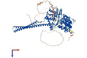 LSD1 Protein (AA 1-853) (His tag)