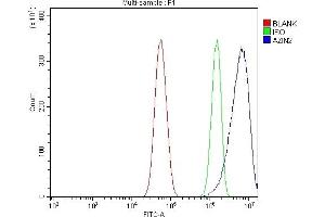 Flow Cytometry analysis of U87 cells using anti-Arginine Decarboxylase/AZIN2 antibody (ABIN7599403). (ADC Antikörper  (AA 1-448))