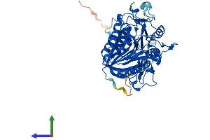 Protein Structure (PS) image for Phospholipase D family member 3 (PLD3) (AA 1-490) protein (His tag) (ABIN7550830)