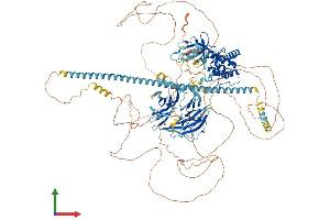 Protein Structure (PS) image for Misshapen-Like Kinase 1 (MINK1) (AA 1-1308) protein (His tag) (ABIN7565119)