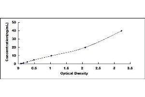 Typical standard curve (Ferritin ELISA Kit)