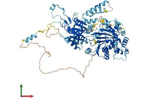 AlphaFold protein structure predicition of Human Recombinant RAD54L Protein, UniprotID Q92698