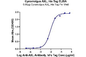 Immobilized Cynomolgus AXL, His Tag at 0. (AXL Protein (AA 33-449) (His tag))