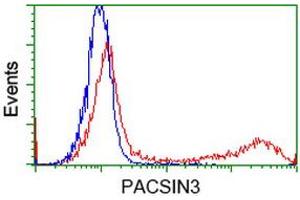 Image no. 3 for anti-Protein Kinase C and Casein Kinase Substrate in Neurons 3 (PACSIN3) antibody (ABIN1500012) (PACSIN3 Antikörper)