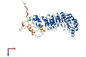 SKP2 Protein (AA 1-424) (His tag)