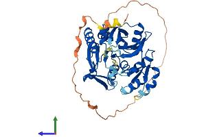 Protein Structure (PS) image for Ribosomal Modification Protein RimK-Like Family Member A (RIMKLA) (AA 1-391) protein (His tag) (ABIN7551422)