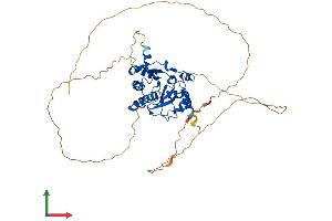 Protein Structure (PS) image for MACRO Domain Containing 2 (MACROD2) (AA 1-475) protein (His tag) (ABIN7557312)