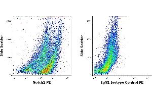 Flow cytometry intracellular staining patterns of PHA stimulated human peripheral whole blood stained using anti-Notch1 (mN1A) PE antibody (concentration in sample 3 μg/mL, left) or mouse IgG1 isotype control (MOPC-21) PE antibody (concentration in sample 3 μg/mL, same as Notch1 PE concentration, right). (Notch1 Antikörper  (PE))