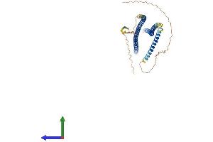 Protein Structure (PS) image for Keratin 26 (KRT26) (AA 1-462) protein (His tag) (ABIN7557083)