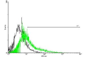 FACS analysis of negative control 293 cells (Black) and TPTE expressing 293 cells (Green) using TPTE purified MaxPab mouse polyclonal antibody. (TPTE Antikörper  (AA 1-533))