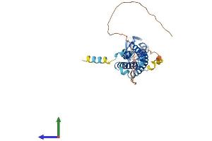 Protein Structure (PS) image for Synaptophysin (SYP) (AA 1-314) protein (His tag) (ABIN7557780)