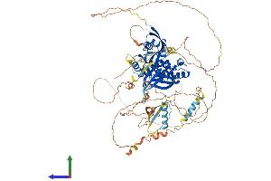 Protein Structure (PS) image for erythrocyte Membrane Protein Band 4.1-Like 1 (EPB41L1) (AA 1-881) protein (His tag) (ABIN7553729)