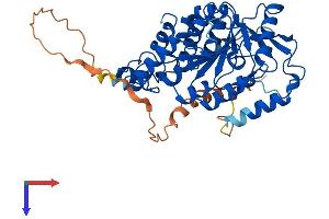 MGAT2 Protein (AA 1-442) (His tag)